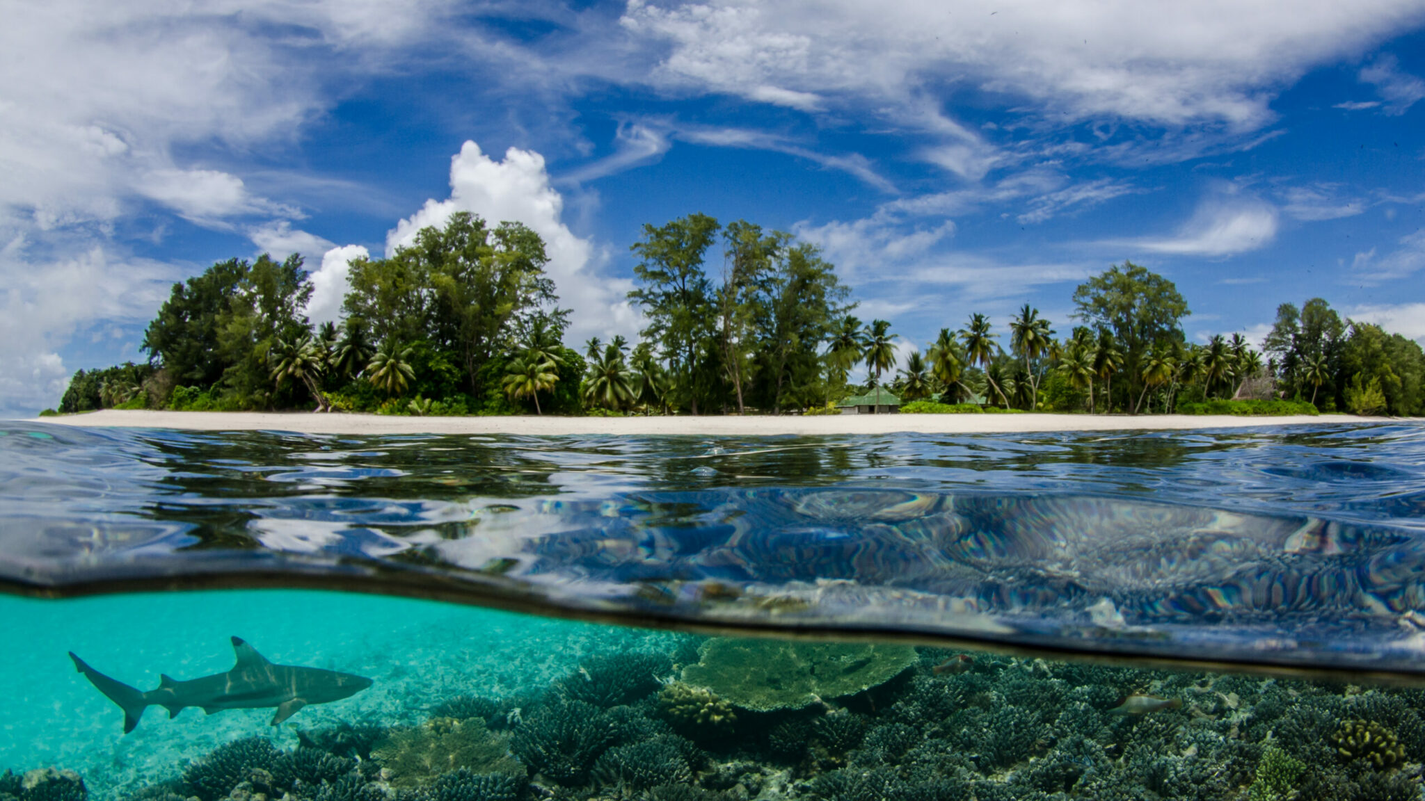 Photo © Byron Dilkes