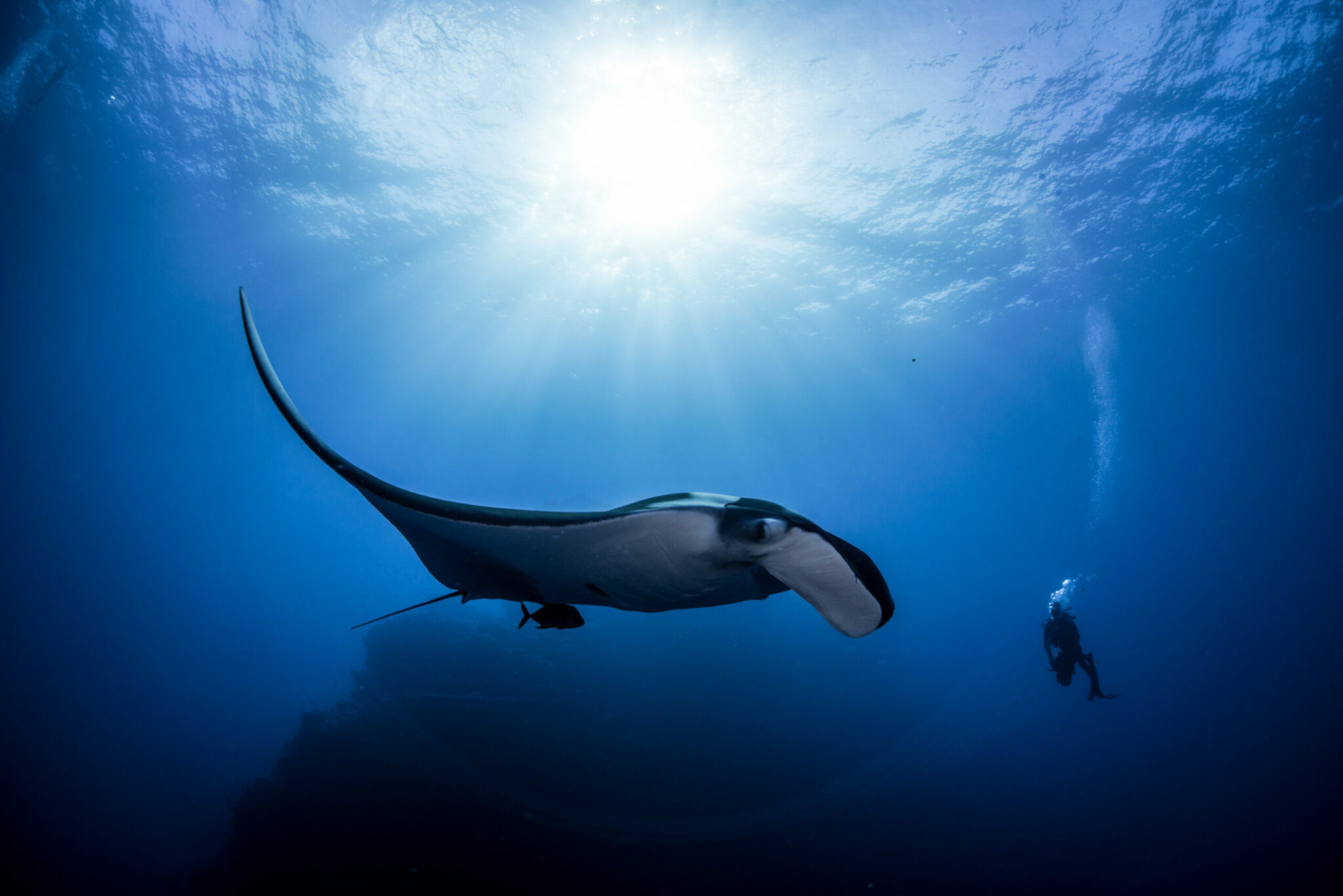 Photo © Chris Vaughan-Jones