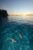 Photo by Rainer von Brandis | © Save Our Seas Foundation.