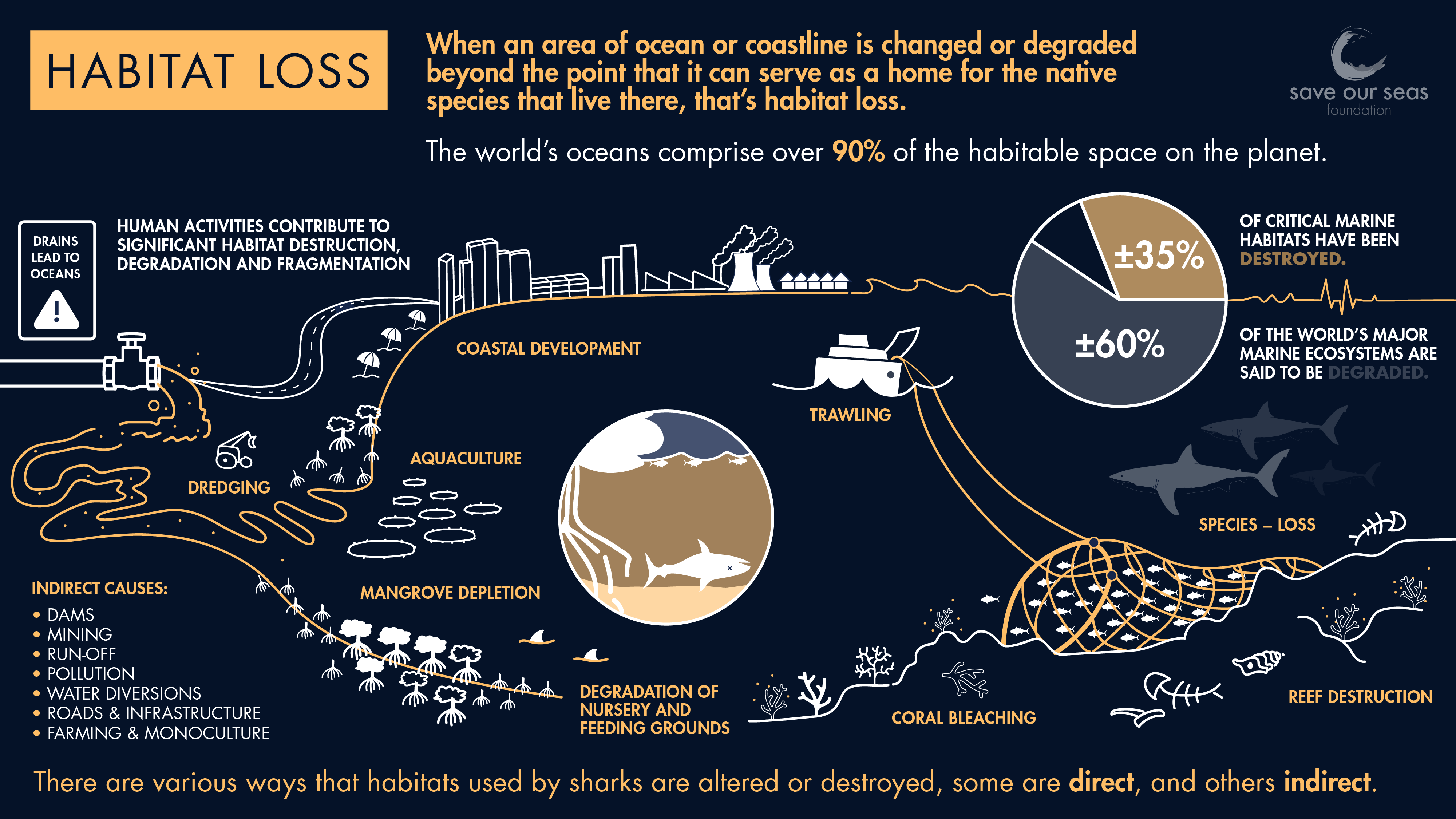 How does habitat loss affect sharks and rays? - Save Our Seas Foundation