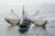 Fishing boat dragging a net through the water of the Waddensea, The Netherlands. Lots of seagulls. Photo © Split Second Stock | Shutterstock