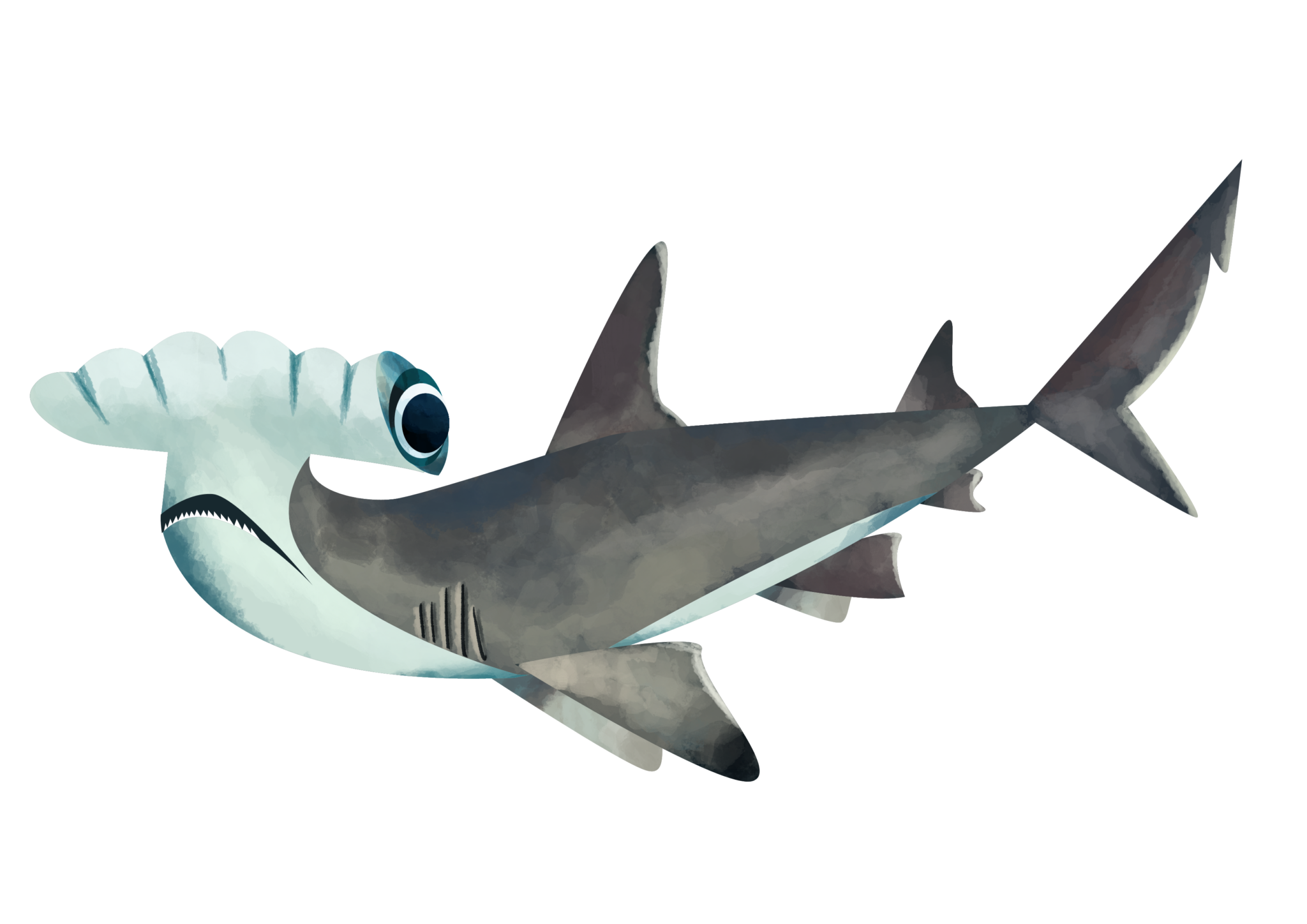 great hammerhead shark vs great white shark