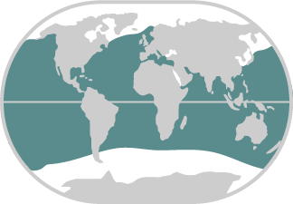 Shortfin Mako shark - Save Our Seas Foundation