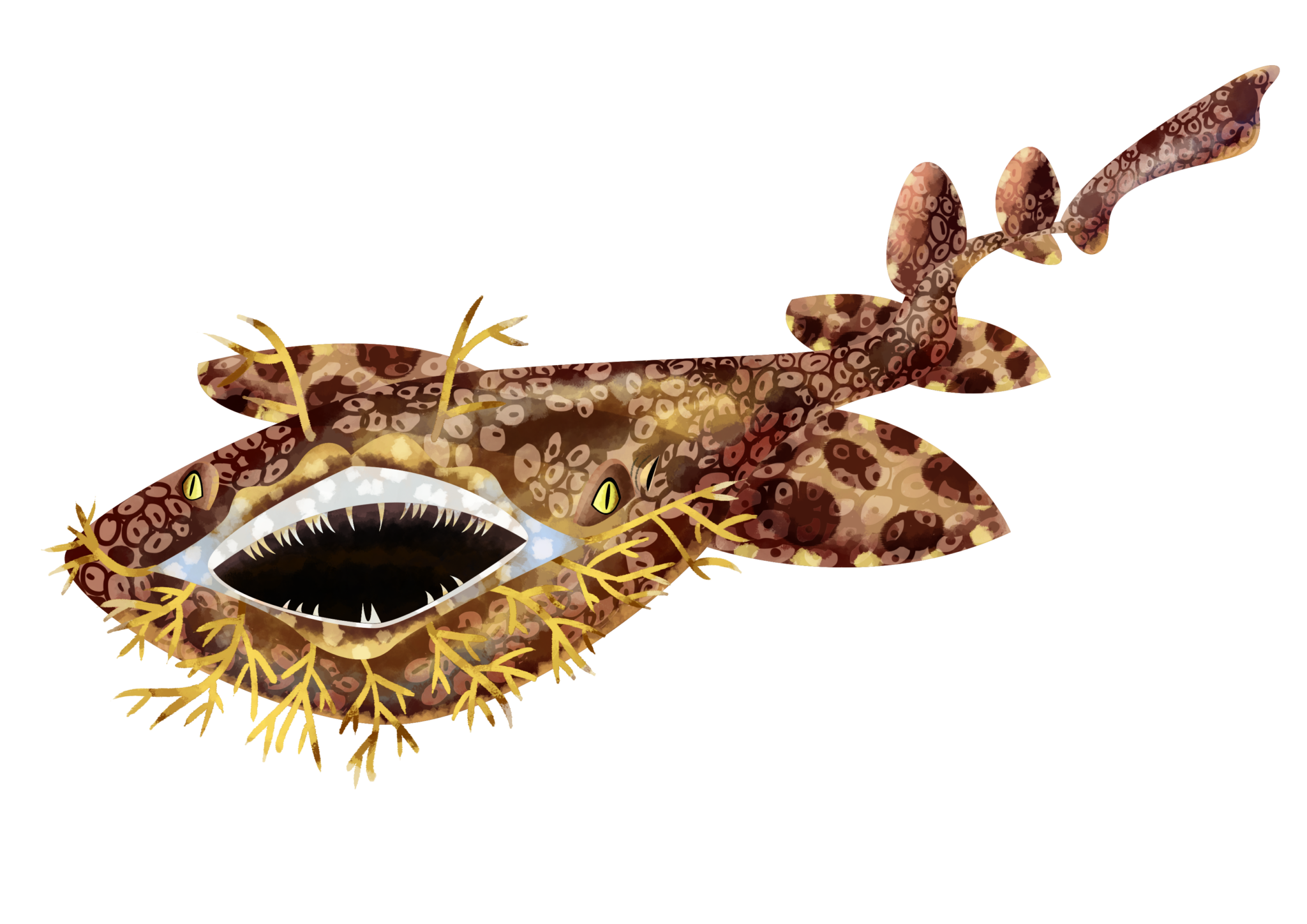수염상어목 Order Orectolobiformes(Carpet sharks)