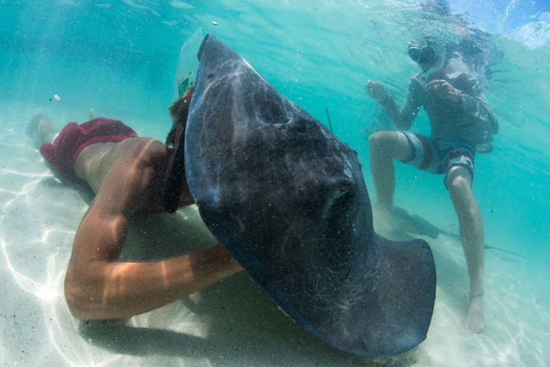 Snorkeler and ray in the shallows. Photo © Shin Arunrugstichai