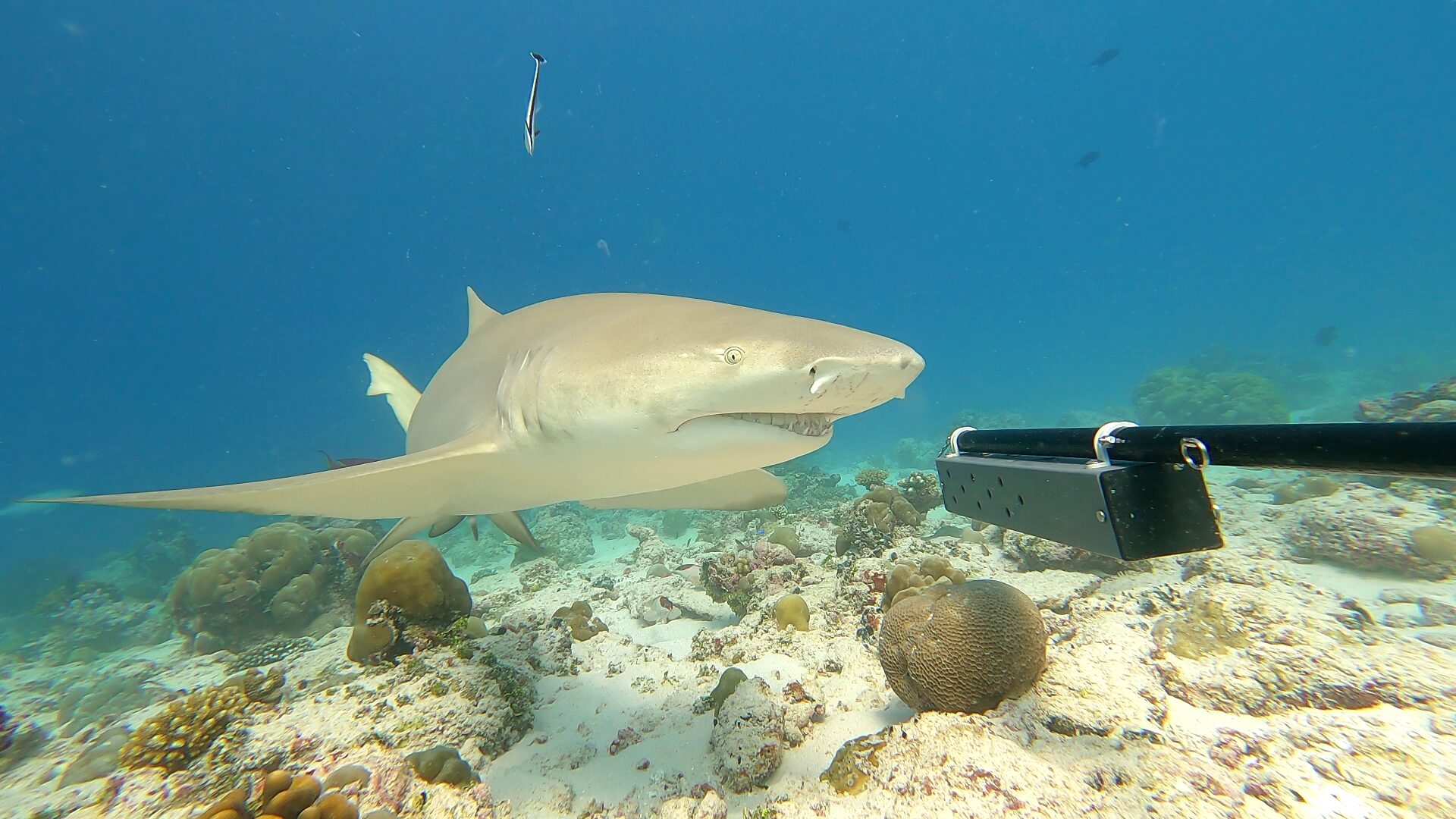 Photo © Nico Fassbender