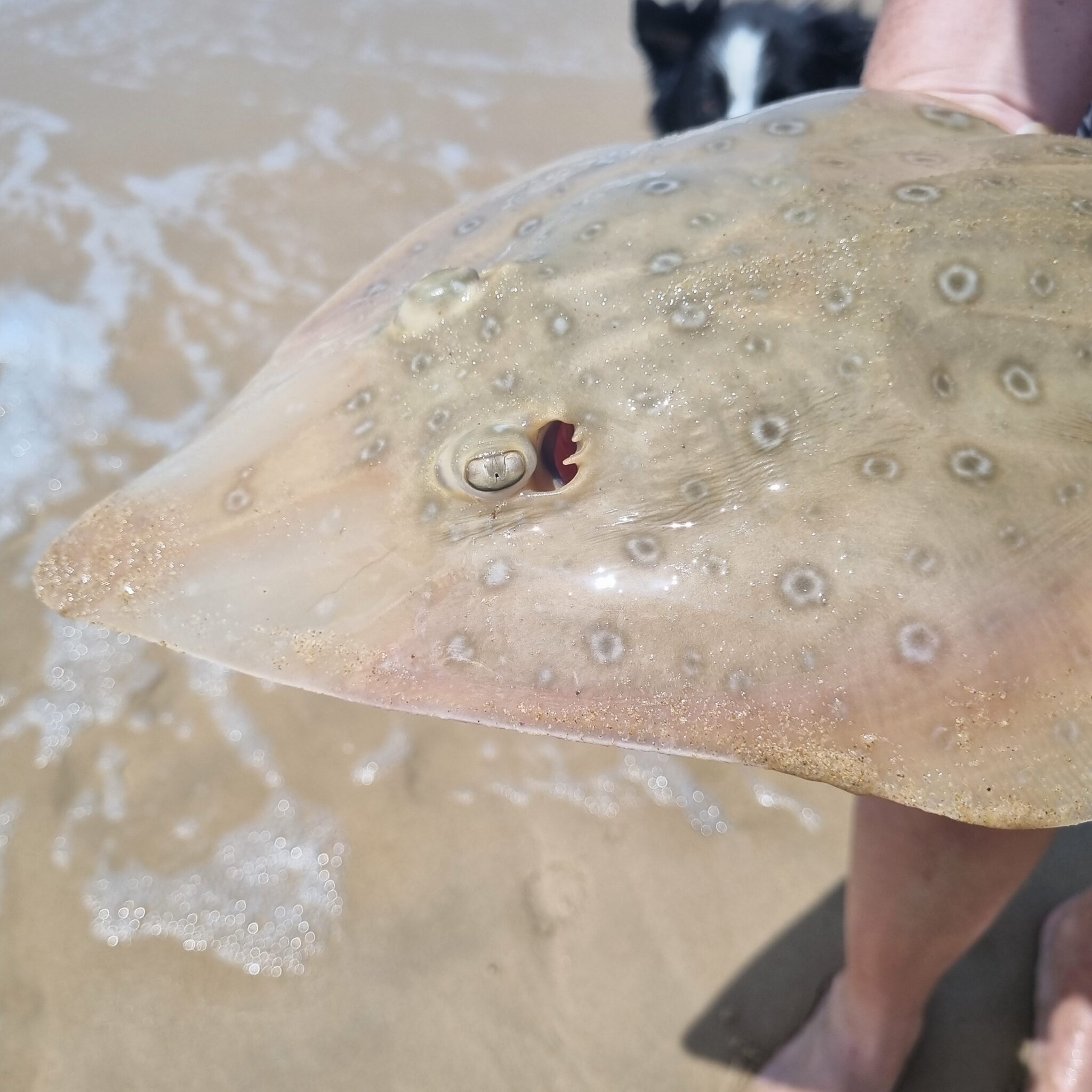 Photo © Taryn Murray