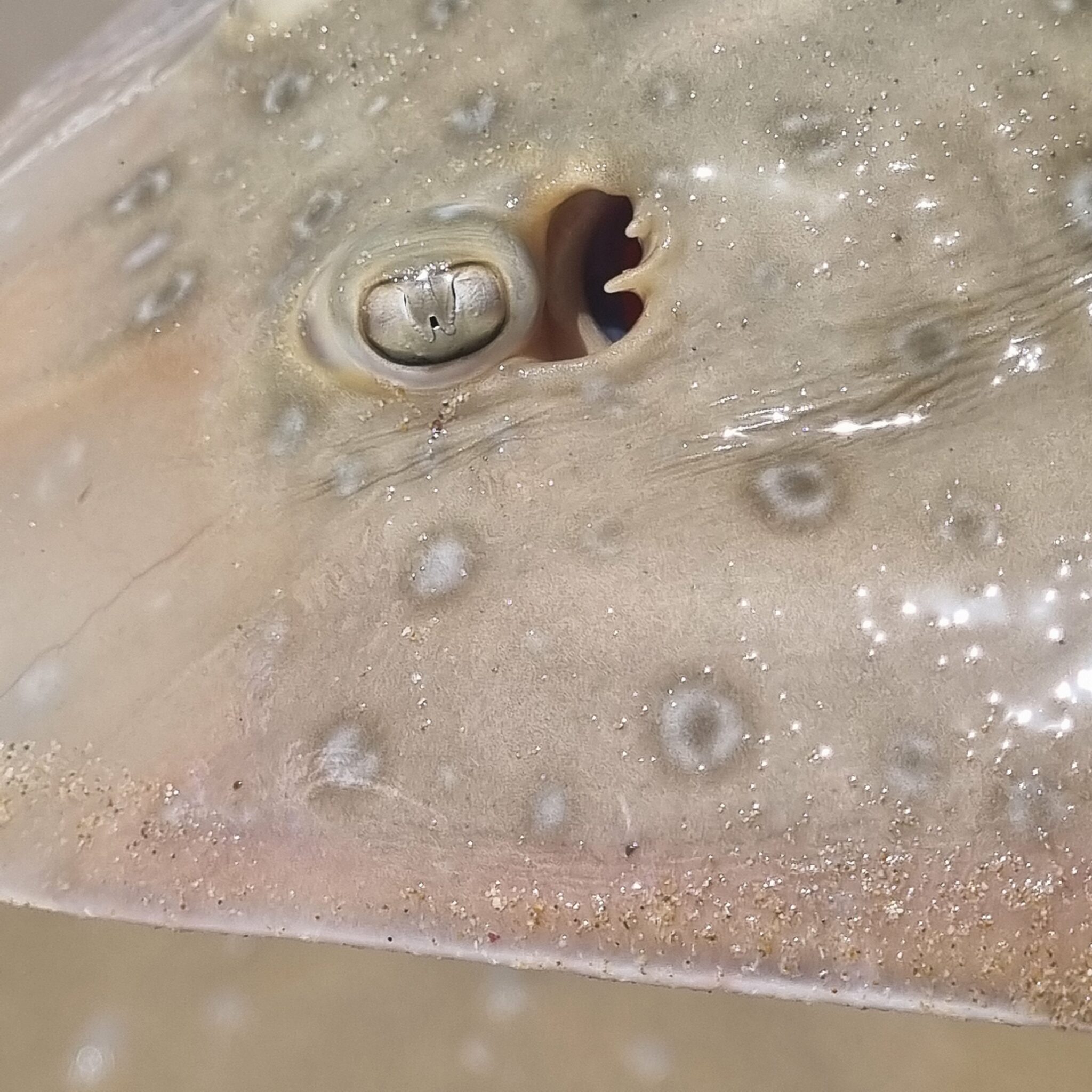 Photo © Taryn Murray