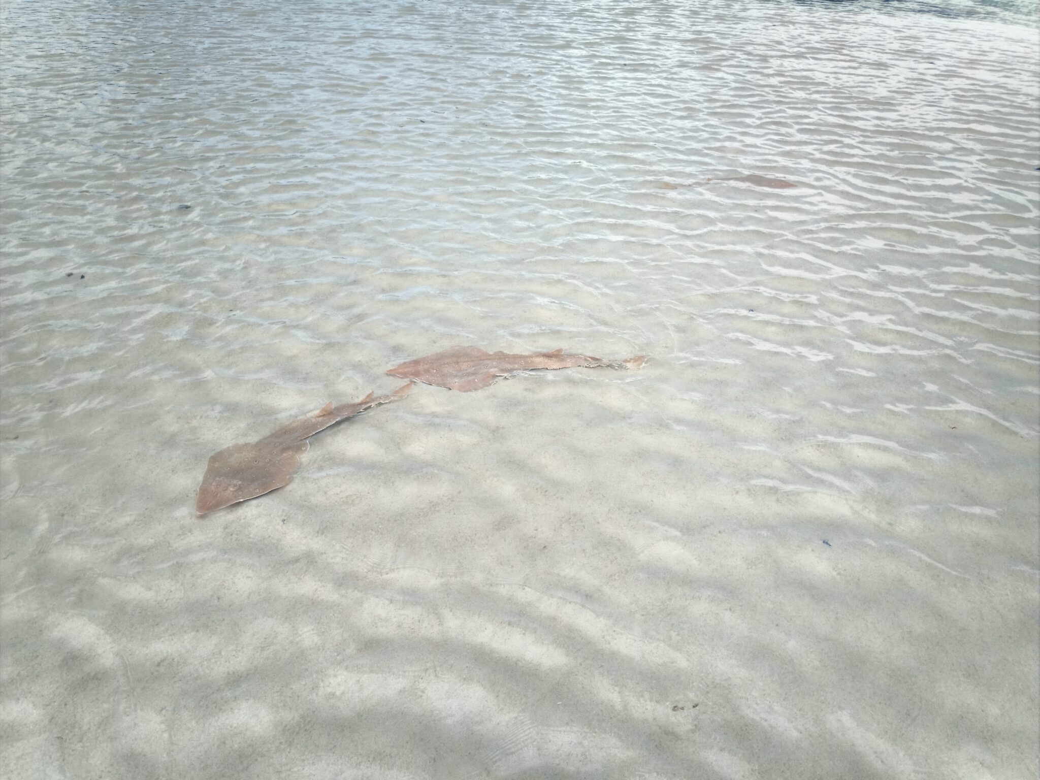 Photo © Ralph Watson